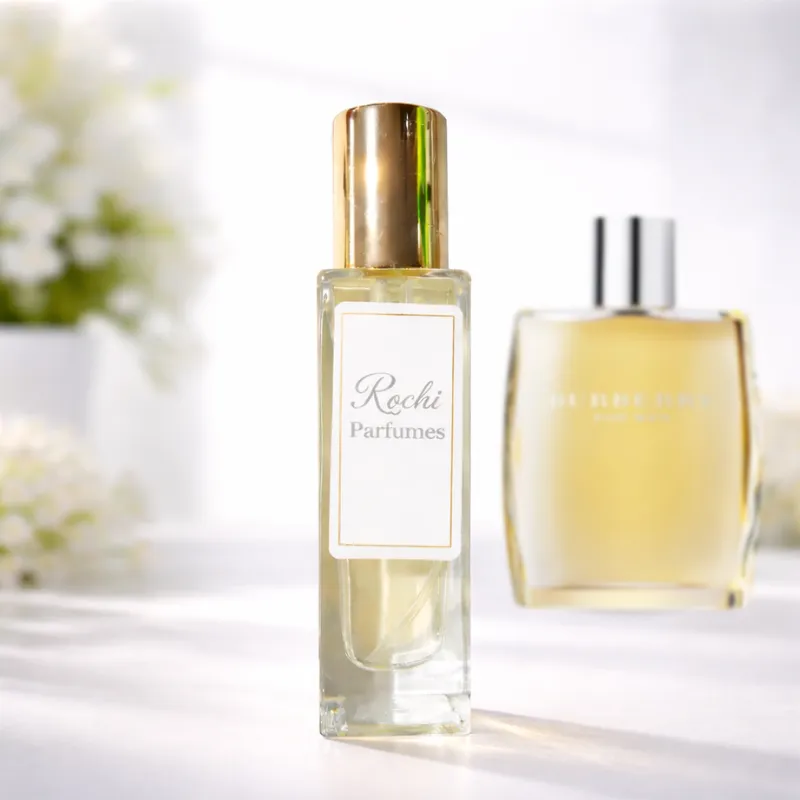 Inspiration of Burberry - Men